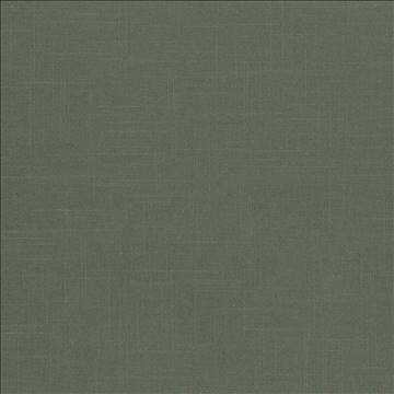 Brigadoon Basil by Kasmir Fabric 5048 55% Linen 45% Rayon CHINA 12,000 Wyzenbeek Double Rubs H: N/A, V: N/A 54 - 55 - Fabric Carolina - Kasmir