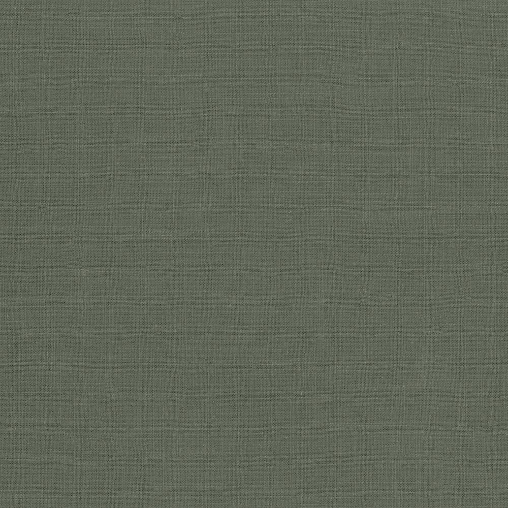 Brigadoon Basil by Kasmir Fabric 5048 55% Linen 45% Rayon CHINA 12,000 Wyzenbeek Double Rubs H: N/A, V:N/A 54 - 55 - Fabric Carolina - Kasmir