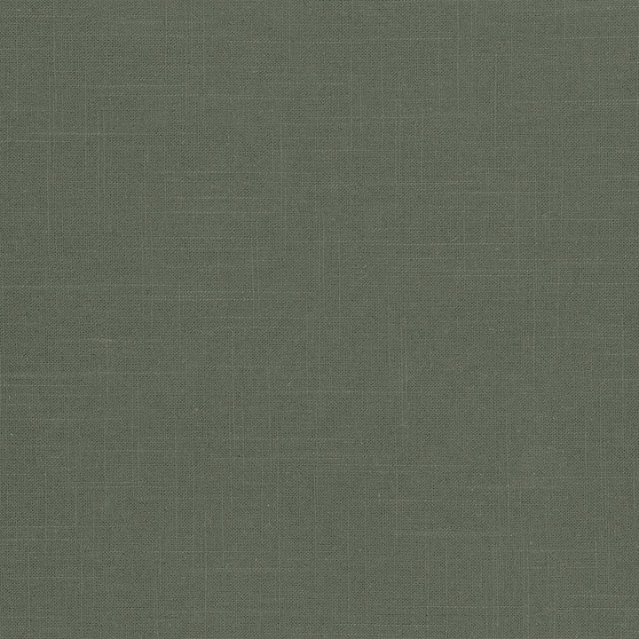 Brigadoon Basil by Kasmir Fabric 5048 55% Linen 45% Rayon CHINA 12,000 Wyzenbeek Double Rubs H: N/A, V:N/A 54 - 55 - Fabric Carolina - Kasmir