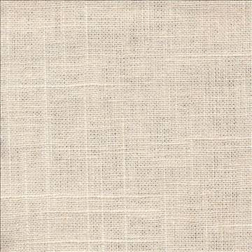 Brigadoon Bisque by Kasmir Fabric 1377 55% Linen 45% Rayon CHINA 12,000 Wyzenbeek Double Rubs H: N/A, V: N/A 54 - 55 - Fabric Carolina - Kasmir