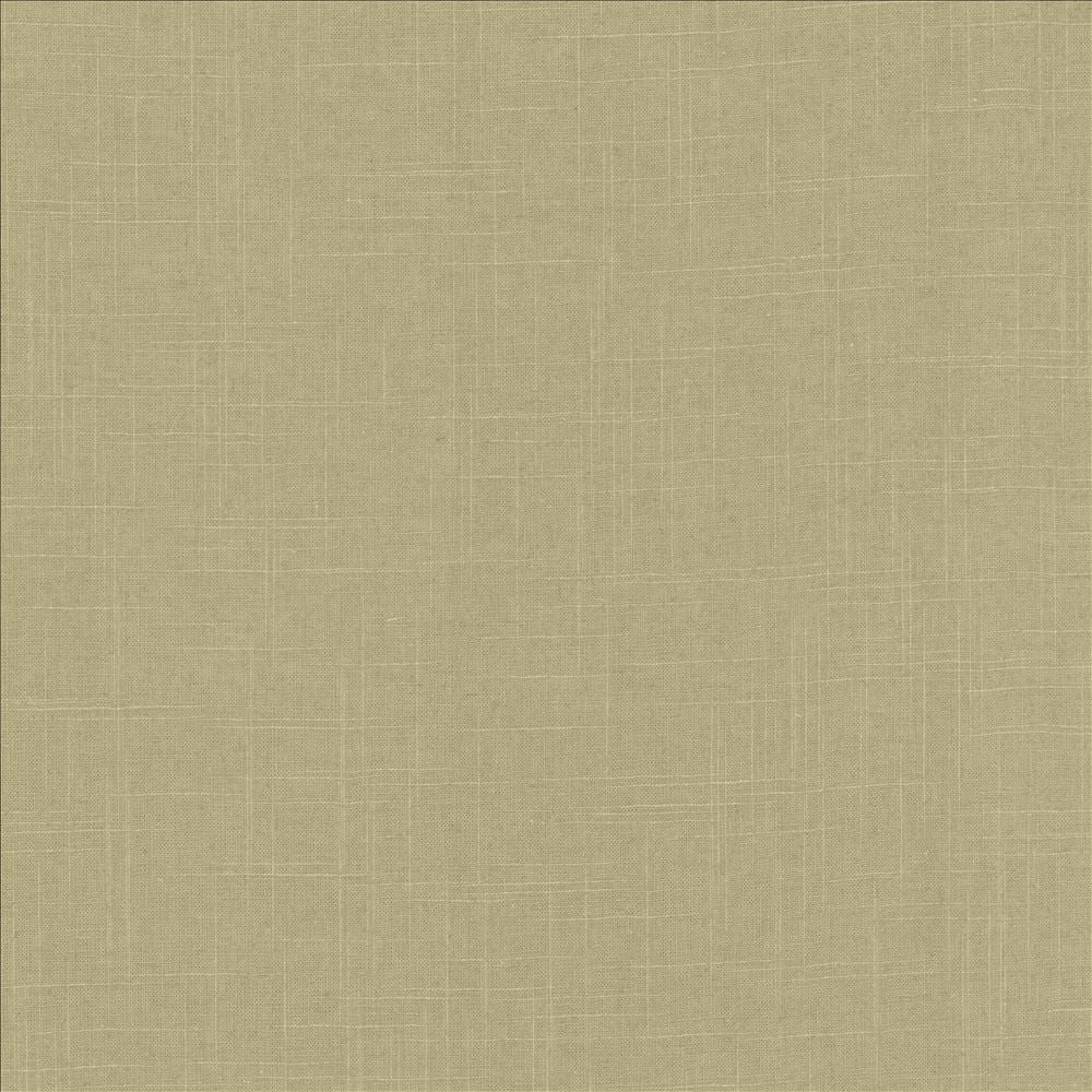 Brigadoon Cactus by Kasmir Fabric 5175 55% Linen
45% Rayon
 CHINA </p><p>Repeat: Horizontal: N/A and Vertical: N/A 54 - 55 - Fabric Carolina -
