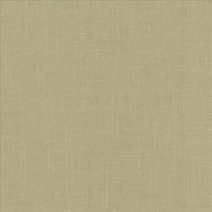 Brigadoon Cactus by Kasmir Fabric 5175 55% Linen
45% Rayon
 CHINA </p><p>Repeat: Horizontal: N/A and Vertical: N/A 54 - 55 - Fabric Carolina -