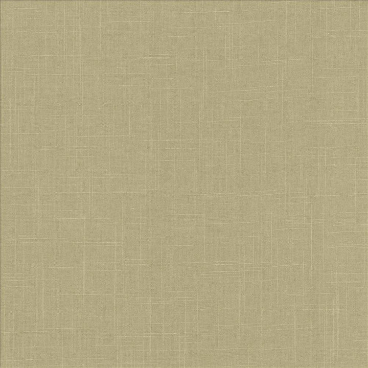 Brigadoon Cactus by Kasmir Fabric 5175 55% Linen
45% Rayon
 CHINA 30,000 Wyzenbeek Double Rubs </p><p>Repeat: Horizontal: N/A and Vertical: N/A 54 - Fabric Carolina -