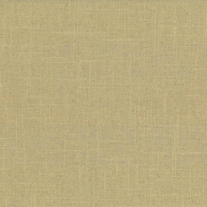 Brigadoon Camel by Kasmir Fabric 5048 55% Linen 45% Rayon CHINA 12,000 Wyzenbeek Double Rubs H: N/A, V:N/A 54 - 55 - Fabric Carolina - Kasmir
