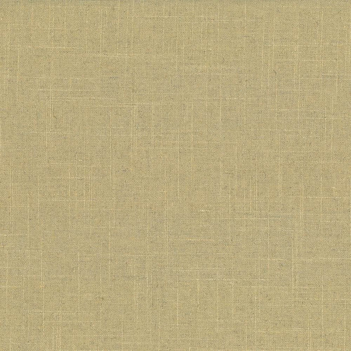 Brigadoon Camel by Kasmir Fabric 5048 55% Linen
45% Rayon
 CHINA 12,000 Wyzenbeek Double Rubs Horizontal: N/A and Vertical: N/A 54 - Fabric Carolina -