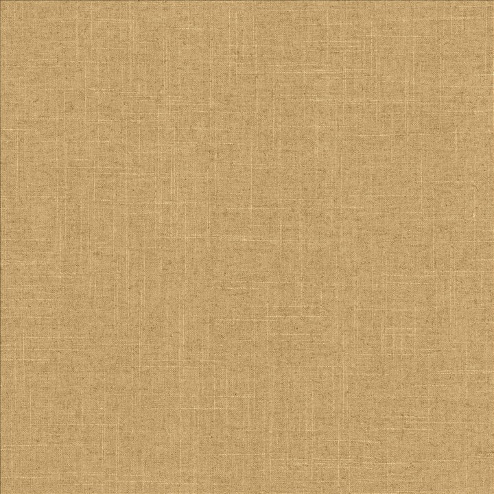 Brigadoon Canyon by Kasmir Fabric 1377 55% Linen
45% Rayon
 CHINA </p><p>Repeat: Horizontal: N/A and Vertical: N/A 54 - 55 - Fabric Carolina -