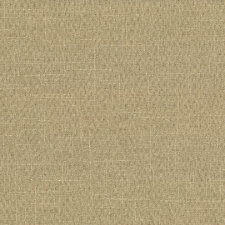 Brigadoon Caramel by Kasmir Fabric 5048 55% Linen
45% Rayon
 CHINA 12,000 Wyzenbeek Double Rubs Horizontal: N/A and Vertical: N/A 54 - Fabric Carolina -