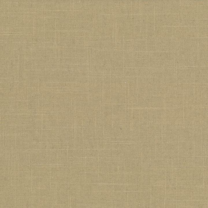 Brigadoon Caramel by Kasmir Fabric 5048 55% Linen
45% Rayon
 CHINA </p><p>Repeat: Horizontal: N/A and Vertical: N/A 54 - 55 - Fabric Carolina -