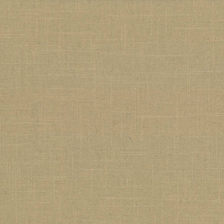 Brigadoon Caramel by Kasmir Fabric 5048 55% Linen 45% Rayon CHINA 12,000 Wyzenbeek Double Rubs H: N/A, V:N/A 54 - 55 - Fabric Carolina - Kasmir