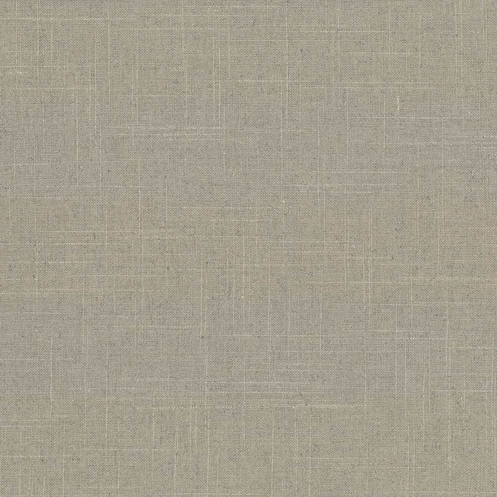 Brigadoon Cement  by Kasmir Fabric See sample 55% Linen
45% Rayon
 CHINA 12,000 Wyzenbeek Double Rubs </p><p>Repeat: Horizontal: N/A and Vertical: N/A 54  - Fabric Carolina -
