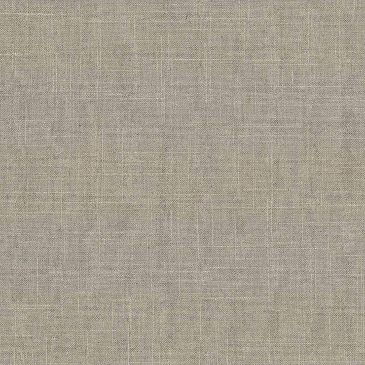 Brigadoon Cement by Kasmir Fabric 1377 55% Linen 45% Rayon CHINA 12,000 Wyzenbeek Double Rubs H: N/A, V:N/A 54 - 55 - Fabric Carolina - Kasmir