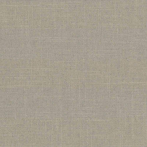 Brigadoon Cement by Kasmir Fabric