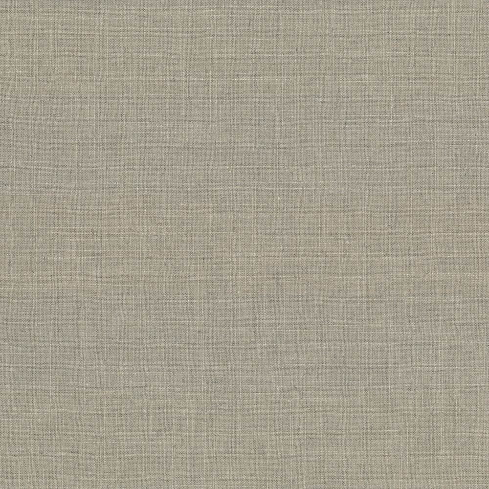 Brigadoon Cement by Kasmir Fabric 5048 55% Linen 45% Rayon CHINA 12,000 Wyzenbeek Double Rubs Horizontal: 0 Inches and Vertical: 0 Inches 54 - 55 - Fabric Carolina -