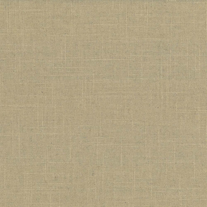 Brigadoon Chamois by Kasmir Fabric 5048 55% Linen
45% Rayon
 CHINA 12,000 Wyzenbeek Double Rubs Horizontal: N/A and Vertical: N/A 54 - Fabric Carolina -