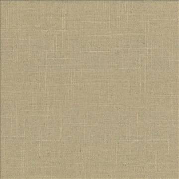 Brigadoon Chamois by Kasmir Fabric 1377 55% Linen 45% Rayon CHINA 12,000 Wyzenbeek Double Rubs H: N/A, V: N/A 54 - 55 - Fabric Carolina - Kasmir