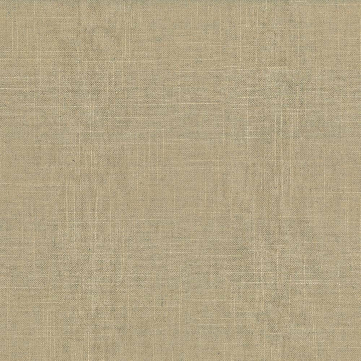 Brigadoon Chamois by Kasmir Fabric 1377 55% Linen 45% Rayon CHINA 12,000 Wyzenbeek Double Rubs H: N/A, V:N/A 54 - 55 - Fabric Carolina - Kasmir
