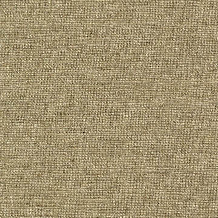 Brigadoon Chino by Kasmir Fabric 1377 55% Linen 45% Rayon CHINA 12,000 Wyzenbeek Double Rubs H: N/A, V:N/A 54 - 55 - Fabric Carolina - Kasmir