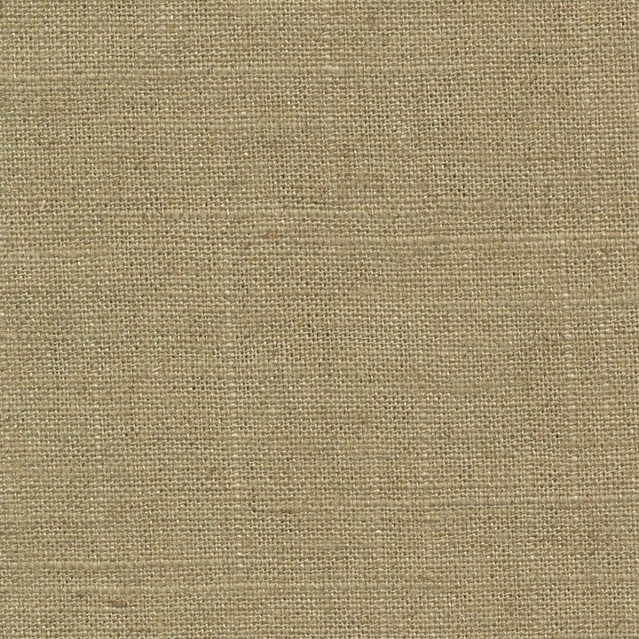 Brigadoon Chino by Kasmir Fabric 1377 55% Linen
45% Rayon
 CHINA </p><p>Repeat: Horizontal: N/A and Vertical: N/A 54 - 55 - Fabric Carolina -