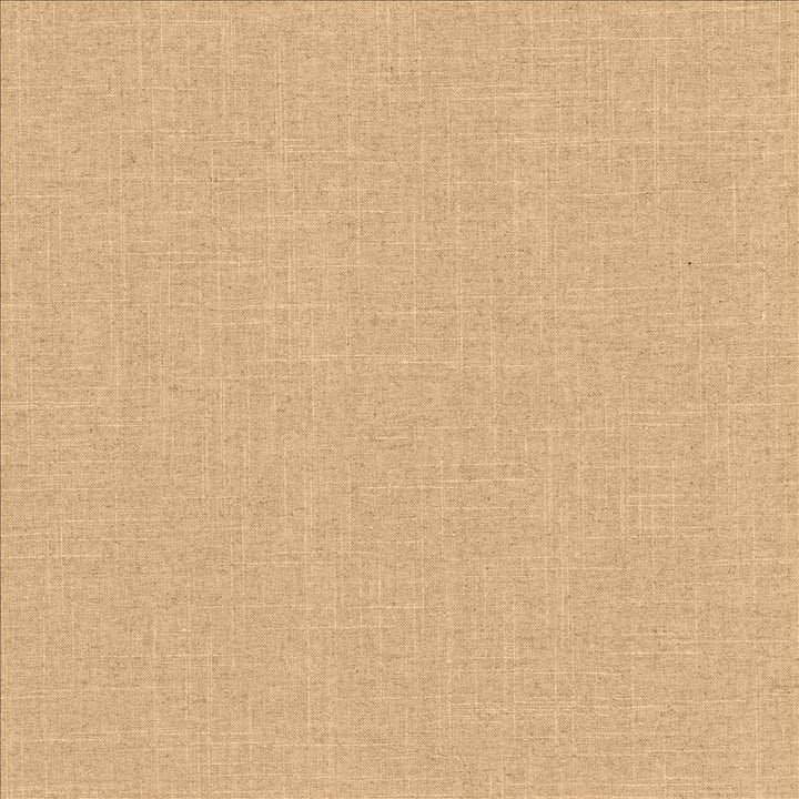 Brigadoon Clay by Kasmir Fabric 5175 55% Linen
45% Rayon
 CHINA 30,000 Wyzenbeek Double Rubs </p><p>Repeat: Horizontal: N/A and Vertical: N/A 54 - Fabric Carolina -