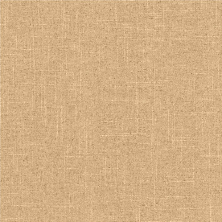 Brigadoon Clay by Kasmir Fabric 5175 55% Linen
45% Rayon
 CHINA </p><p>Repeat: Horizontal: N/A and Vertical: N/A 54 - 55 - Fabric Carolina -