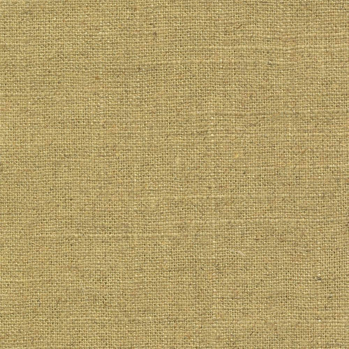 Brigadoon Hay by Kasmir Fabric 1377 55% Linen 45% Rayon CHINA 12,000 Wyzenbeek Double Rubs H: N/A, V:N/A 54 - 55 - Fabric Carolina - Kasmir