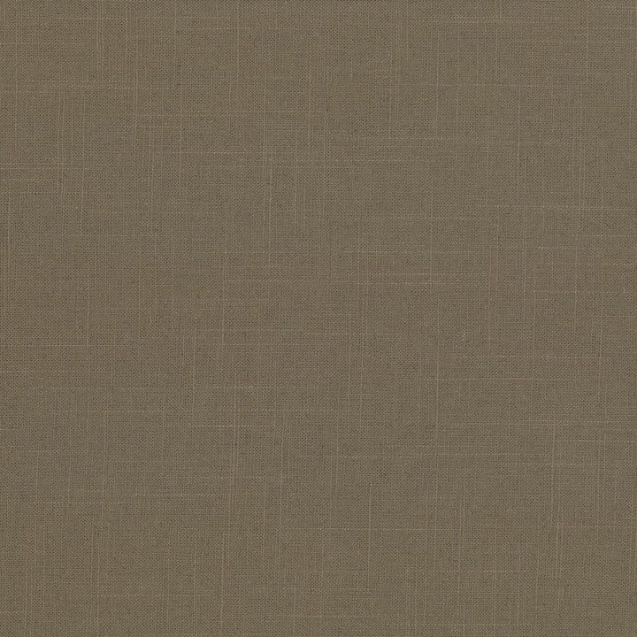 Brigadoon Hazelnut by Kasmir Fabric 5048 55% Linen
45% Rayon
 CHINA </p><p>Repeat: Horizontal: N/A and Vertical: N/A 54 - 55 - Fabric Carolina -
