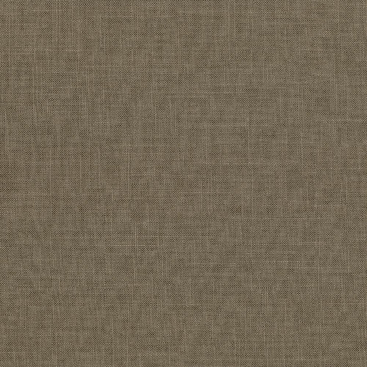Brigadoon Hazelnut by Kasmir Fabric 1377 55% Linen
45% Rayon
 CHINA 12,000 Wyzenbeek Double Rubs Horizontal: N/A and Vertical: N/A 54 - Fabric Carolina -