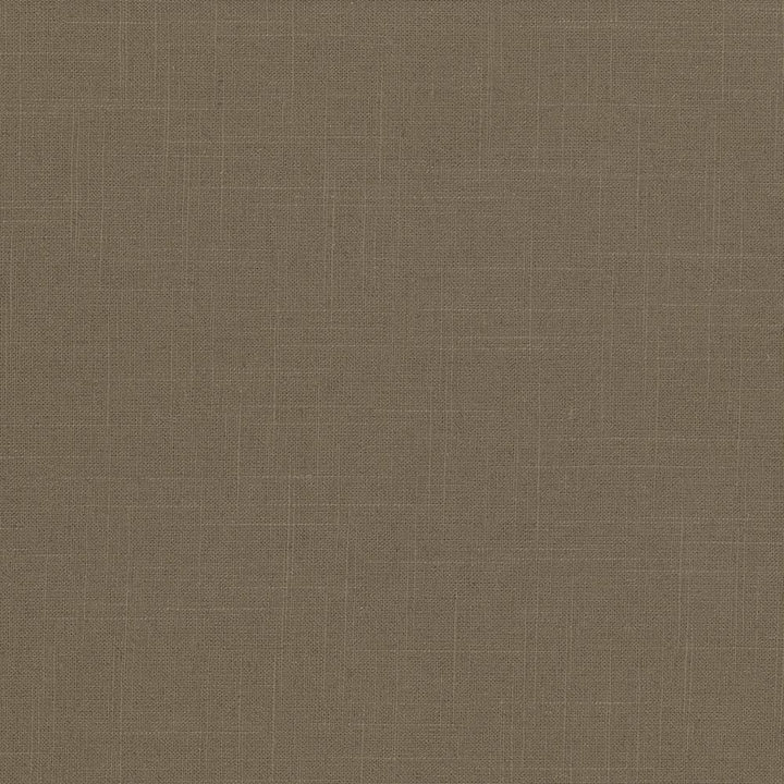 Brigadoon Hazelnut by Kasmir Fabric 5048 55% Linen 45% Rayon CHINA 12,000 Wyzenbeek Double Rubs H: N/A, V:N/A 54 - 55 - Fabric Carolina - Kasmir