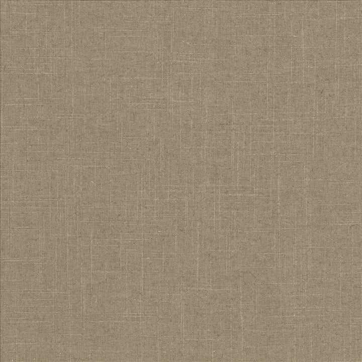 Brigadoon Iron by Kasmir Fabric 5175 55% Linen
45% Rayon
 CHINA </p><p>Repeat: Horizontal: N/A and Vertical: N/A 54 - 55 - Fabric Carolina -