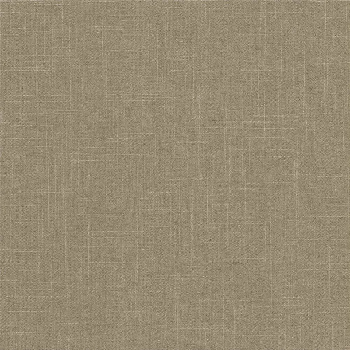 Brigadoon Iron by Kasmir Fabric 5175 55% Linen
45% Rayon
 CHINA 30,000 Wyzenbeek Double Rubs </p><p>Repeat: Horizontal: N/A and Vertical: N/A 54 - Fabric Carolina -