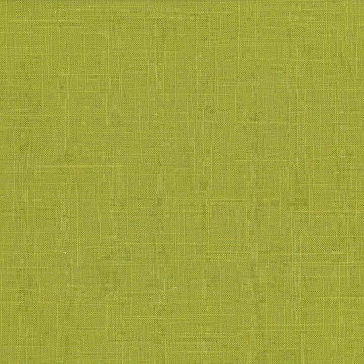 Brigadoon Kiwi by Kasmir Fabric 5048 55% Linen
45% Rayon
 CHINA 30,000 Wyzenbeek Double Rubs </p><p>Repeat: Horizontal: N/A and Vertical: N/A 54 - Fabric Carolina -