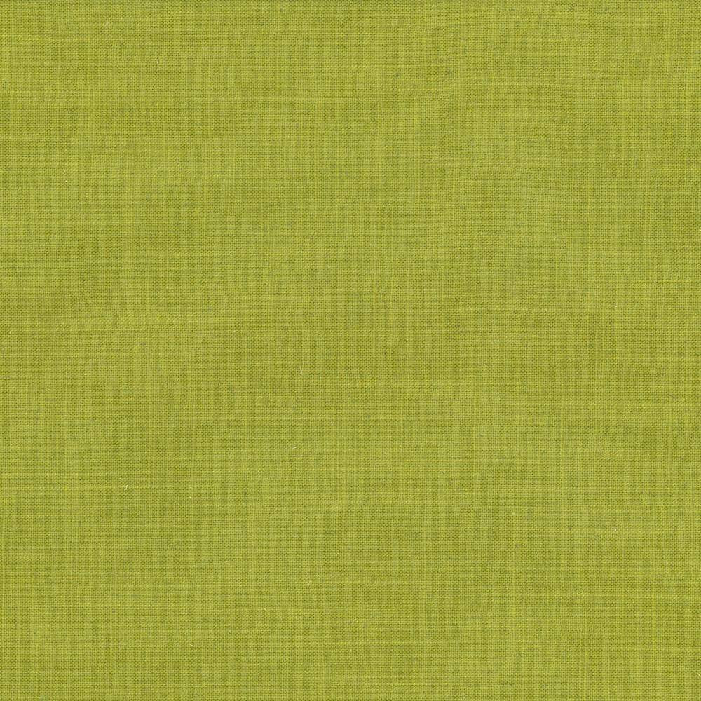 Brigadoon Kiwi by Kasmir Fabric 5048 55% Linen 45% Rayon CHINA 12,000 Wyzenbeek Double Rubs H: N/A, V:N/A 54 - 55 - Fabric Carolina - Kasmir