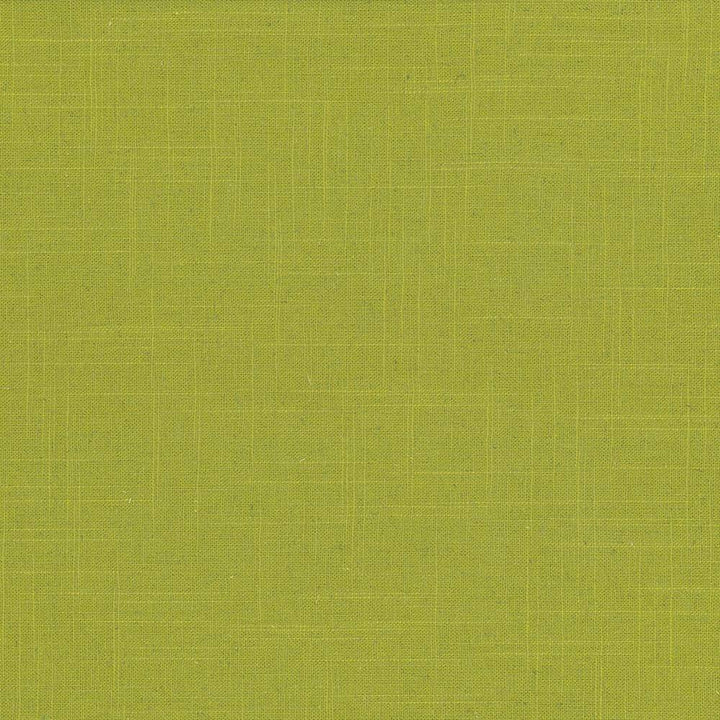 Brigadoon Kiwi by Kasmir Fabric 5048 55% Linen 45% Rayon CHINA 12,000 Wyzenbeek Double Rubs H: N/A, V:N/A 54 - 55 - Fabric Carolina - Kasmir