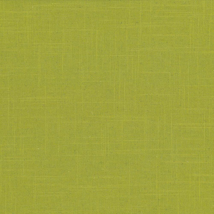 Brigadoon Kiwi by Kasmir Fabric 5048 55% Linen
45% Rayon
 CHINA </p><p>Repeat: Horizontal: N/A and Vertical: N/A 54 - 55 - Fabric Carolina -