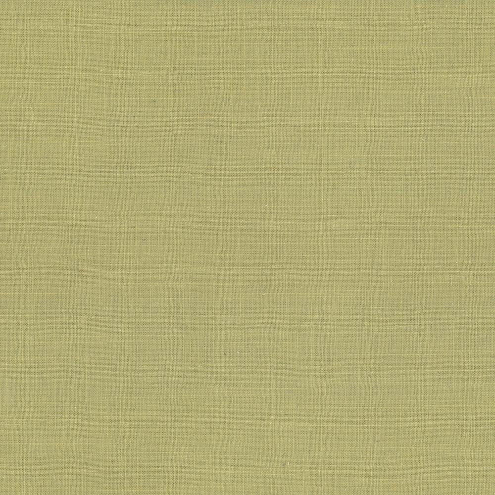 Brigadoon Lime by Kasmir Fabric 5048 55% Linen 45% Rayon CHINA 12,000 Wyzenbeek Double Rubs Horizontal: 0 Inches and Vertical: 0 Inches 54 - 55 - Fabric Carolina -