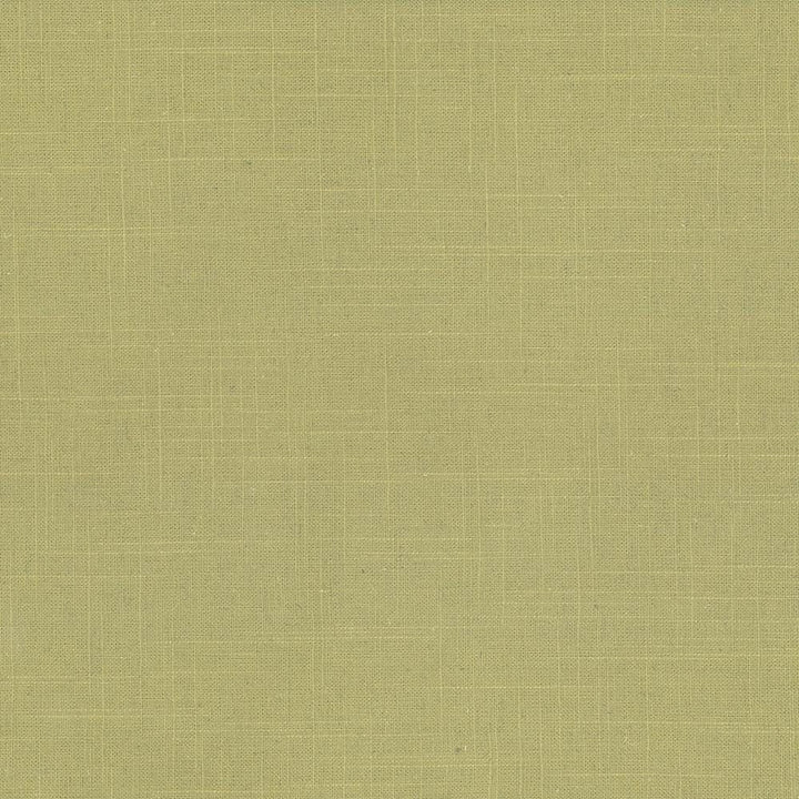 Brigadoon Lime by Kasmir Fabric 5048 55% Linen
45% Rayon
 CHINA 12,000 Wyzenbeek Double Rubs Horizontal: N/A and Vertical: N/A 54 - Fabric Carolina -