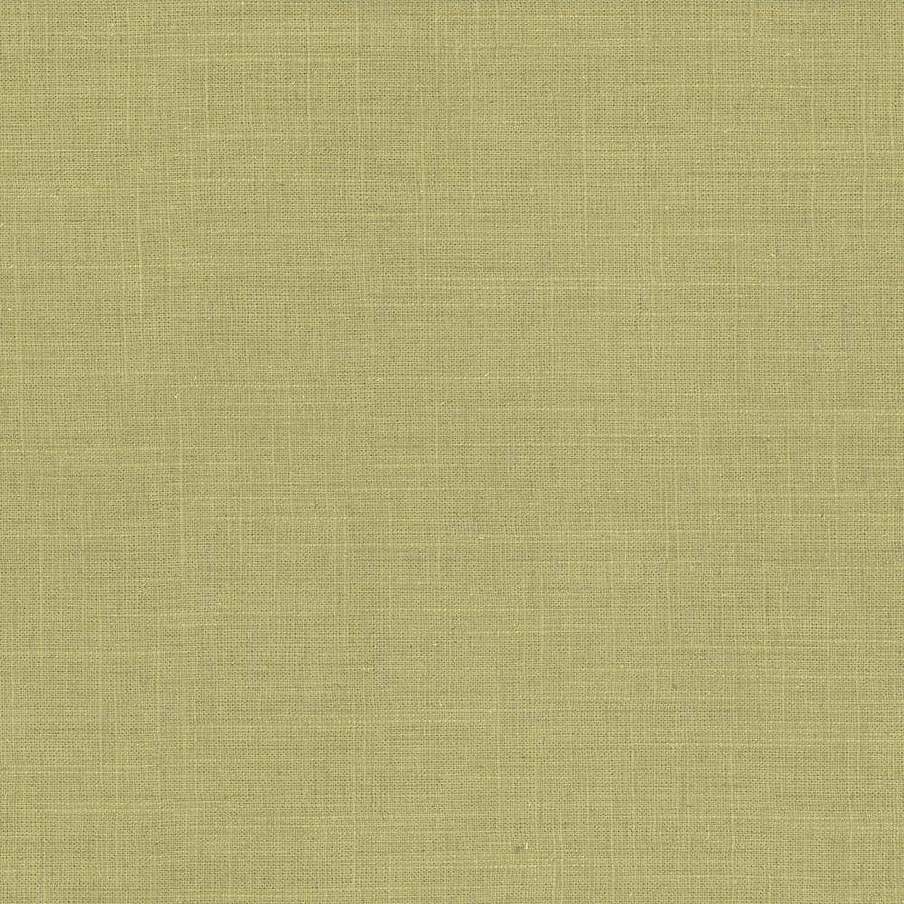 Brigadoon Lime by Kasmir Fabric 5048 55% Linen 45% Rayon CHINA 12,000 Wyzenbeek Double Rubs H: N/A, V:N/A 54 - 55 - Fabric Carolina - Kasmir