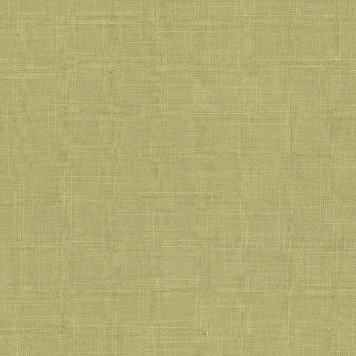 Brigadoon Lime by Kasmir Fabric 5048 55% Linen 45% Rayon CHINA 12,000 Wyzenbeek Double Rubs H: N/A, V:N/A 54 - 55 - Fabric Carolina - Kasmir