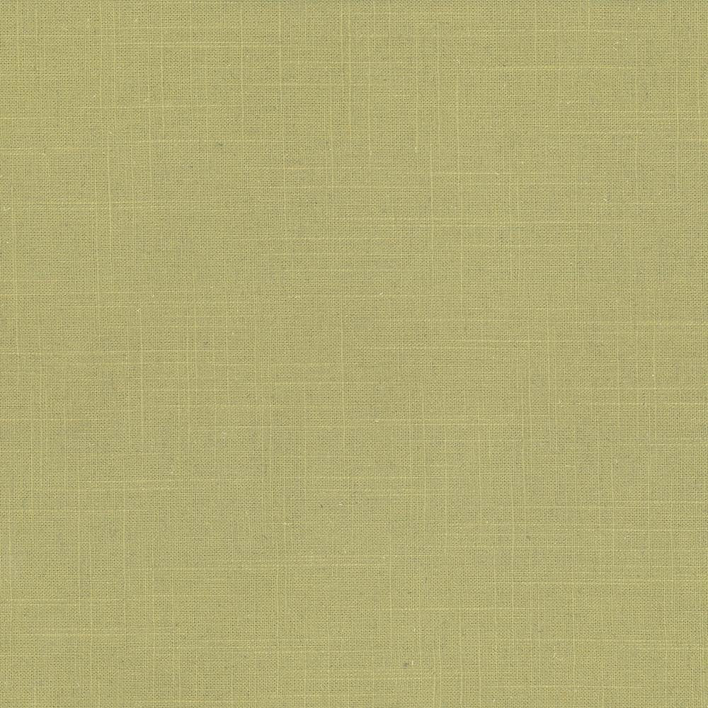 Brigadoon Lime by Kasmir Fabric 5048 55% Linen
45% Rayon
 CHINA </p><p>Repeat: Horizontal: N/A and Vertical: N/A 54 - 55 - Fabric Carolina -