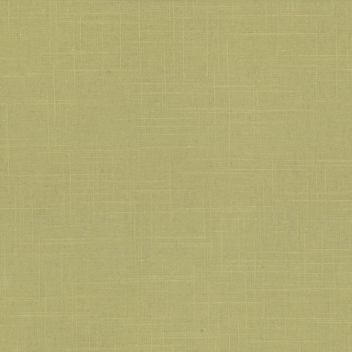 Brigadoon Lime by Kasmir Fabric 5048 55% Linen
45% Rayon
 CHINA </p><p>Repeat: Horizontal: N/A and Vertical: N/A 54 - 55 - Fabric Carolina -