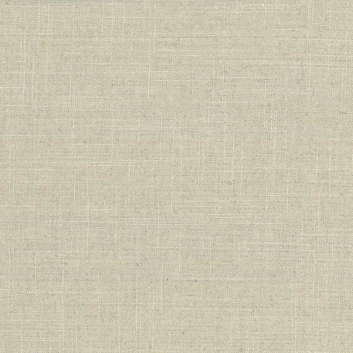 Brigadoon Linden by Kasmir Fabric 5048 55% Linen
45% Rayon
 CHINA </p><p>Repeat: Horizontal: N/A and Vertical: N/A 54 - 55 - Fabric Carolina -