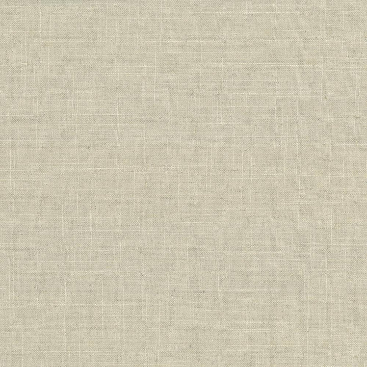 Brigadoon Linden by Kasmir Fabric 5048 55% Linen 45% Rayon CHINA 12,000 Wyzenbeek Double Rubs H: N/A, V:N/A 54 - 55 - Fabric Carolina - Kasmir