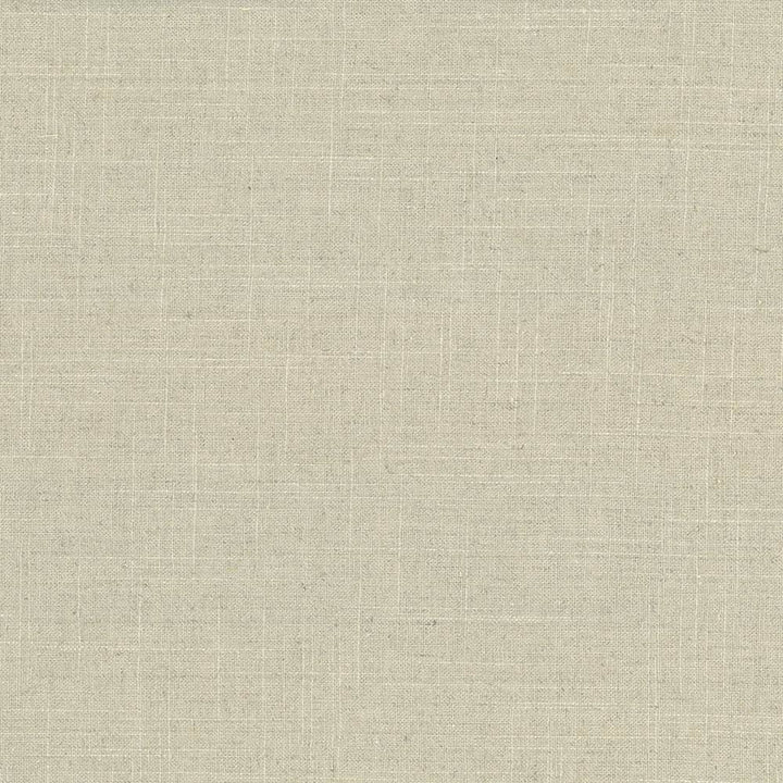 Brigadoon Linden by Kasmir Fabric 5048 55% Linen
45% Rayon
 CHINA </p><p>Repeat: Horizontal: N/A and Vertical: N/A 54 - 55 - Fabric Carolina -