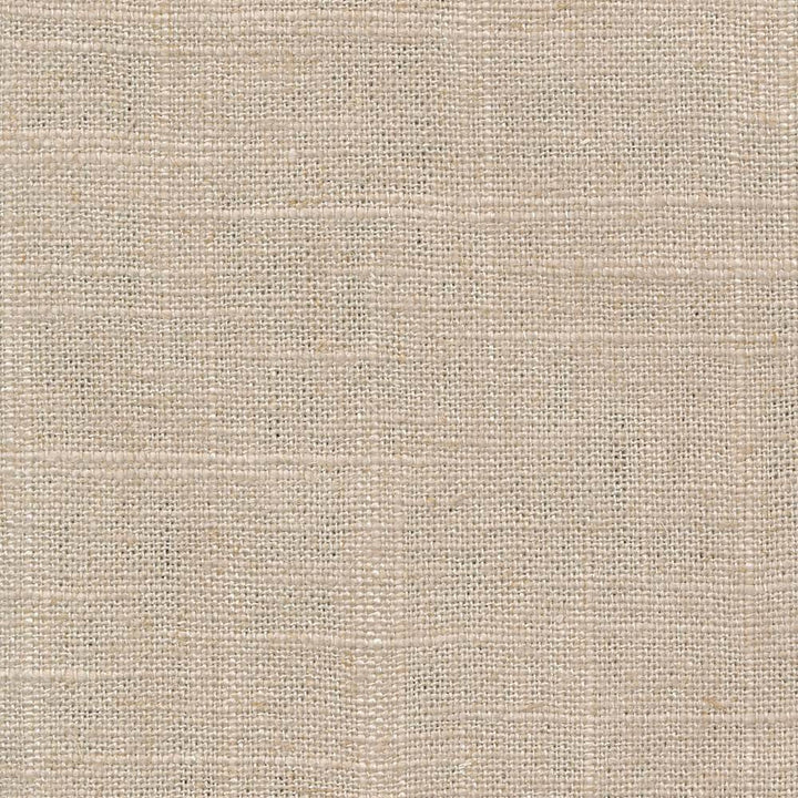Brigadoon Marble by Kasmir Fabric 1377 55% Linen 45% Rayon CHINA 12,000 Wyzenbeek Double Rubs H: N/A, V:N/A 54 - 55 - Fabric Carolina - Kasmir