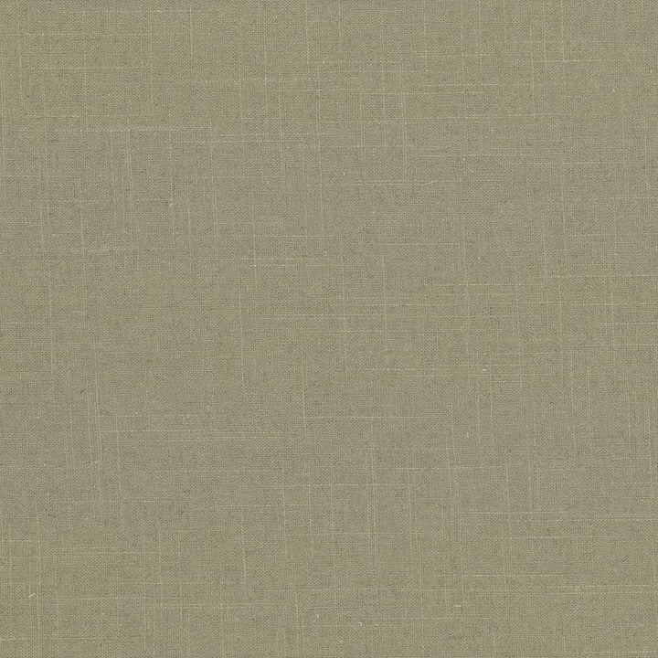 Brigadoon Morel by Kasmir Fabric 5048 55% Linen
45% Rayon
 CHINA 30,000 Wyzenbeek Double Rubs </p><p>Repeat: Horizontal: N/A and Vertical: N/A 54 - Fabric Carolina -