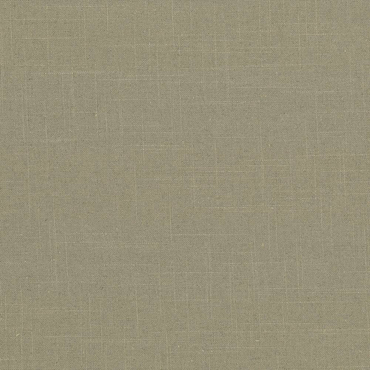 Brigadoon Morel by Kasmir Fabric 5048 55% Linen 45% Rayon CHINA 12,000 Wyzenbeek Double Rubs H: N/A, V:N/A 54 - 55 - Fabric Carolina - Kasmir