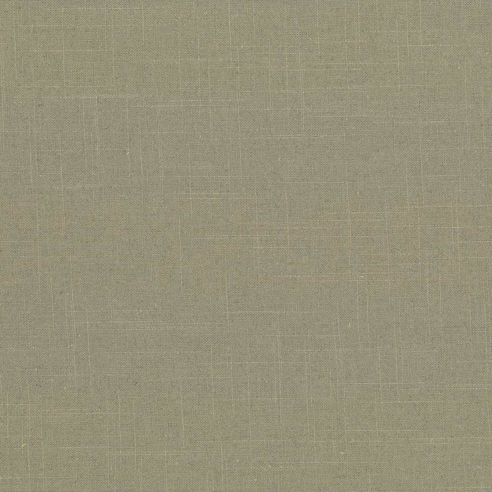 Brigadoon Morel by Kasmir Fabric 5048 55% Linen
45% Rayon
 CHINA </p><p>Repeat: Horizontal: N/A and Vertical: N/A 54 - 55 - Fabric Carolina -
