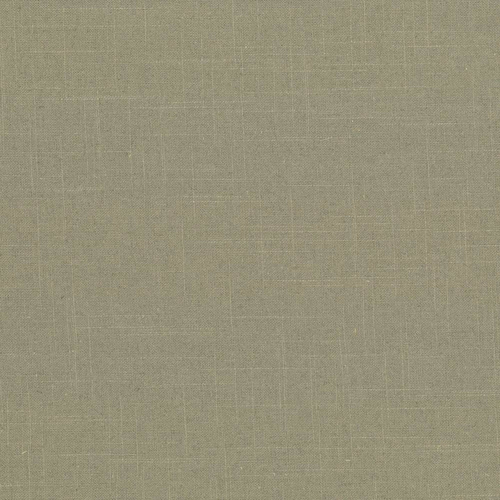 Brigadoon Morel by Kasmir Fabric 5048 55% Linen
45% Rayon
 CHINA </p><p>Repeat: Horizontal: N/A and Vertical: N/A 54 - 55 - Fabric Carolina -