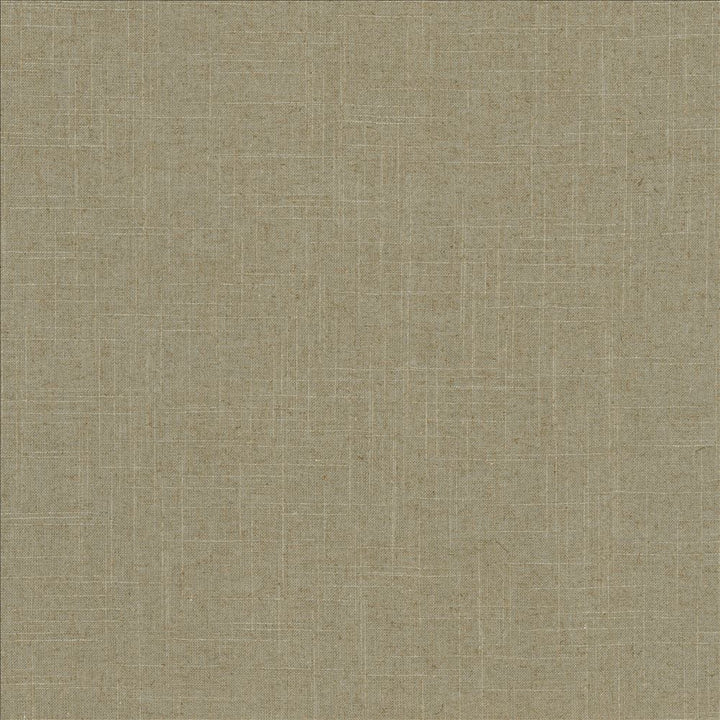 Brigadoon Nile by Kasmir Fabric 5175 55% Linen
45% Rayon
 CHINA </p><p>Repeat: Horizontal: N/A and Vertical: N/A 54 - 55 - Fabric Carolina -
