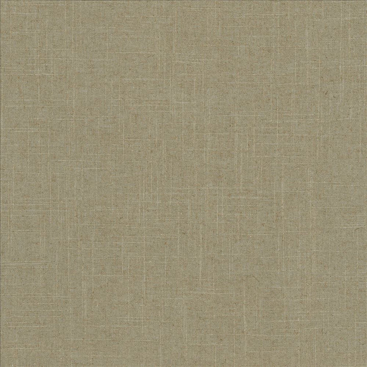 Brigadoon Nile by Kasmir Fabric 5175 55% Linen
45% Rayon
 CHINA 30,000 Wyzenbeek Double Rubs </p><p>Repeat: Horizontal: N/A and Vertical: N/A 54 - Fabric Carolina -